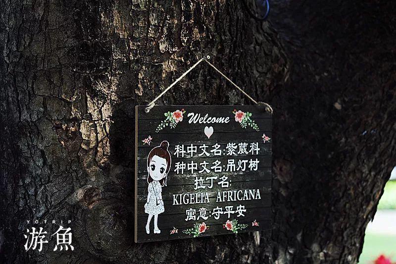 医生提醒,以下三类人要少吃南瓜,可能会面临一些食用禁忌